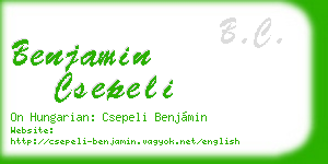 benjamin csepeli business card